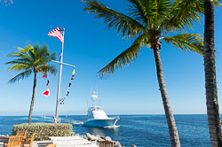 20140214_weisleder_003.jpg
