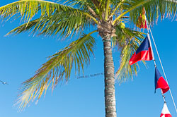 20140214_weisleder_059.jpg