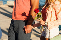 POP-UP PROPOSAL