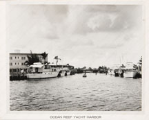 Ocean Reef Yacht Harbor