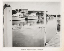 Ocean Reef Yacht Harbor