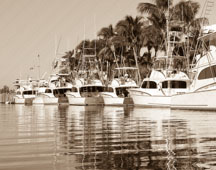 Rybovich Fishing Boats docked 2010 Vintage Weekend