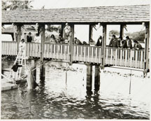 The bridge to Buccaneer Island was the place to be when the Dolphin Show began.