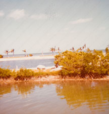 Lagoon, Natural Salt Water Pool and Ocean in that order.  Taken from porch of dining room at lodge.
