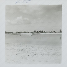 december 1955