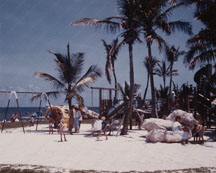 Late 1980's view of Beach