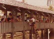Crowds along the walkway to Buccaneer Island watrching the dolphin show