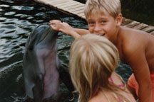 Dolphin Encounter
