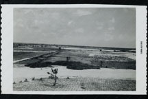 July 1955