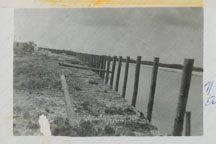 July 1956 Seawall being built
