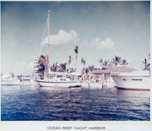 Ocean Reef Yacht Harbor