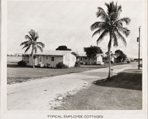 Typical Employee Cottages