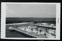 March 1956