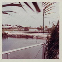 1965